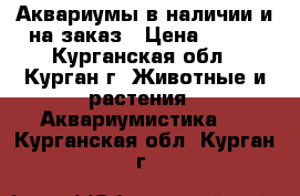 Аквариумы в наличии и на заказ › Цена ­ 450 - Курганская обл., Курган г. Животные и растения » Аквариумистика   . Курганская обл.,Курган г.